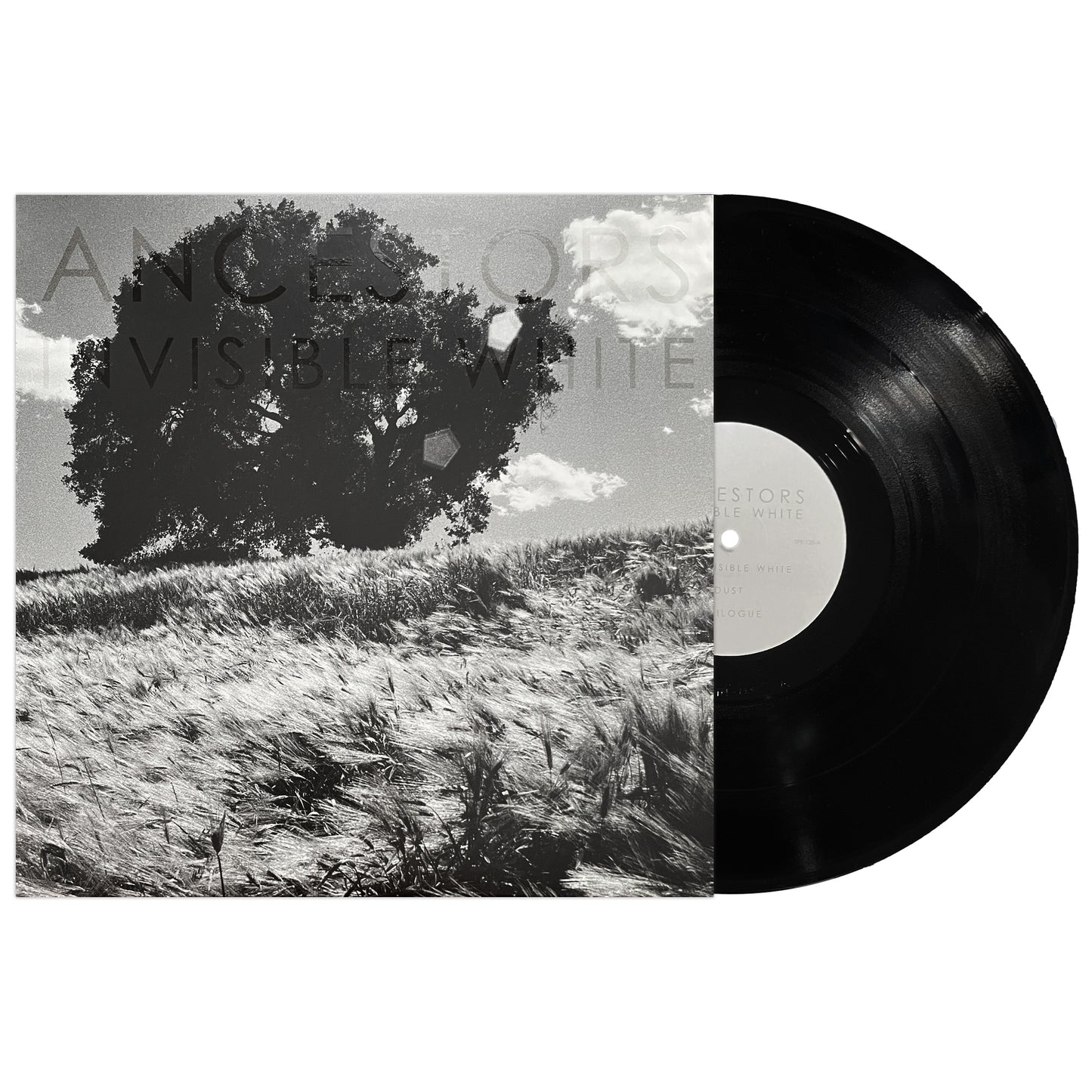 Ancestors - Invisible White [12" vinyl EP]